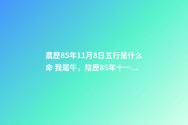 農歷85年11月8日五行是什么命 我屬牛，陰歷85年十一月初一，屬什么命，缺什么-第1張-觀點-玄機派
